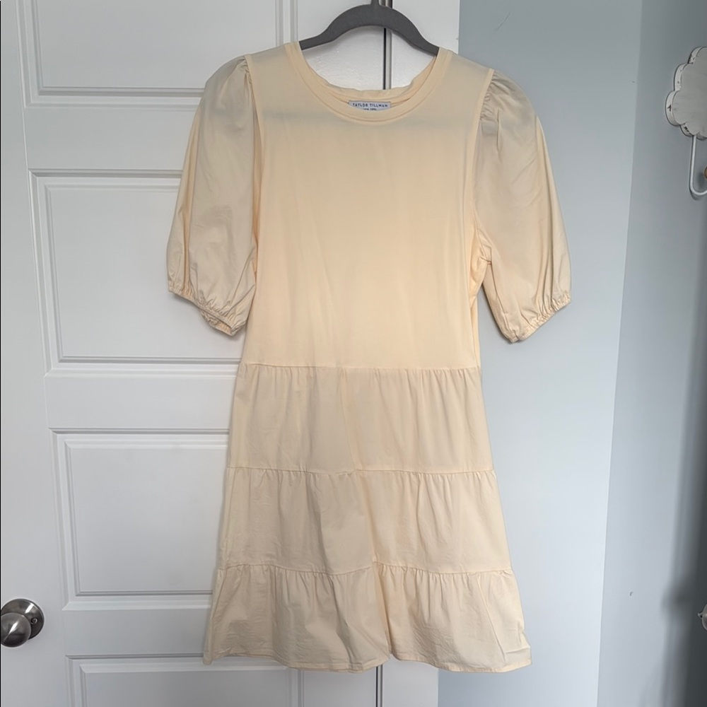 Taylor Tillman Mini Dress with Puff Sleeves - Sz Small - worn once